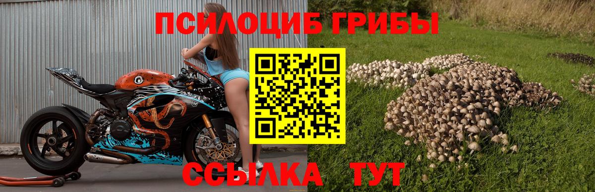 Галлюциногенные грибы Cubensis Наро-Фоминск