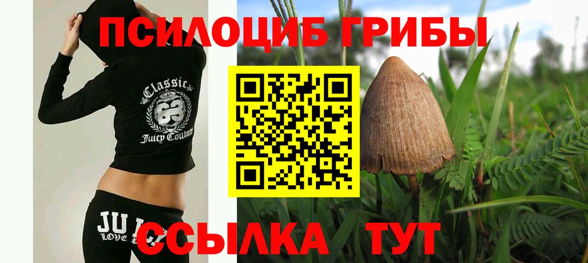 Наро-Фоминск  Галлюциногенные грибы MAGIC MUSHROOMS  Галлюциногенные грибы Magic Shrooms  Вход с VPN 